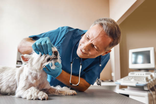 Best Emergency Wisdom Teeth Removal in Bostonia, CA